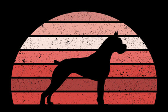 Retro Vintage Sunset BOXER Review